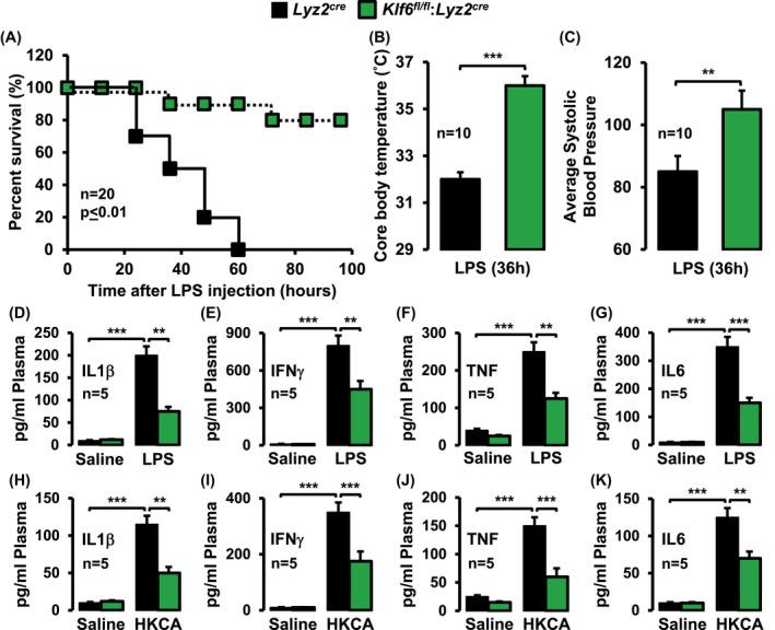https://cdn.ncbi.nlm.nih.gov/pmc/blobs/c652/9292212/1e89215464d0/FSB2-34-3209-g008.jpg