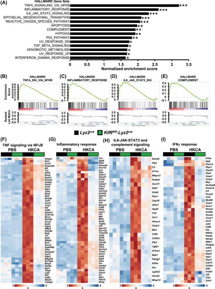 https://cdn.ncbi.nlm.nih.gov/pmc/blobs/c652/9292212/b6d61b7e5665/FSB2-34-3209-g002.jpg