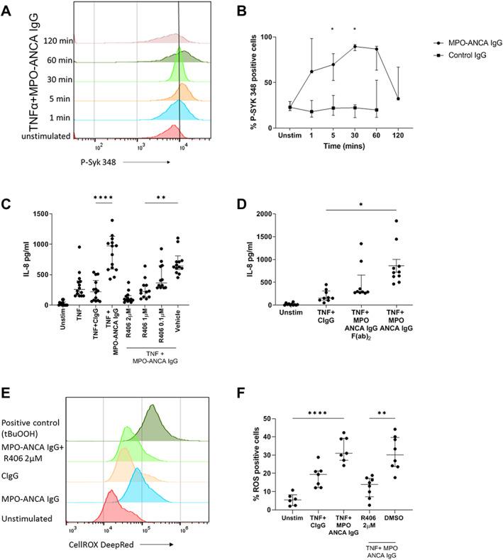 https://cdn.ncbi.nlm.nih.gov/pmc/blobs/c653/10099805/51573468da1b/ART-75-84-g001.jpg