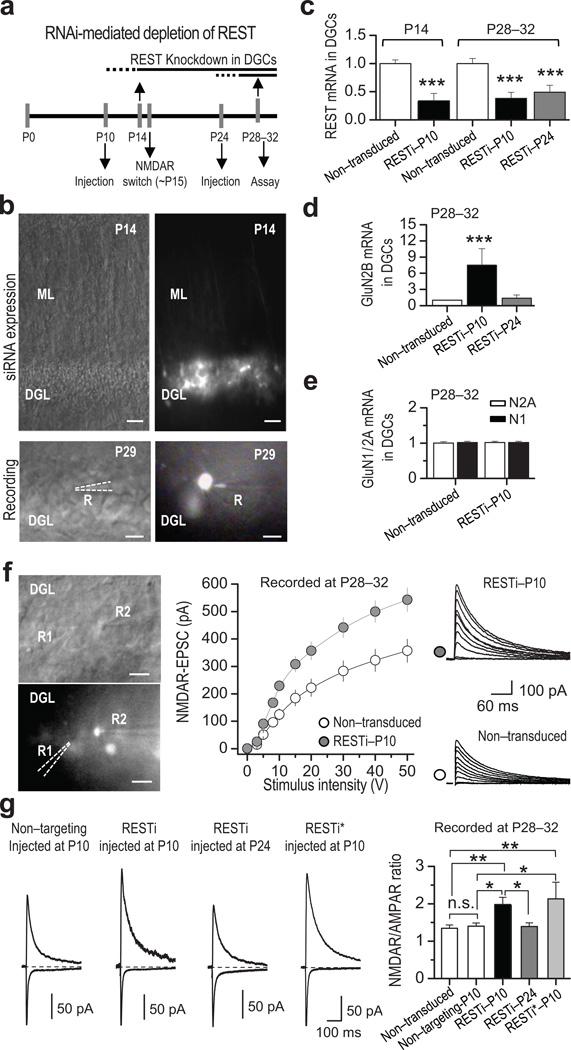https://cdn.ncbi.nlm.nih.gov/pmc/blobs/c654/3501125/1dc0d6d14742/nihms400951f3.jpg
