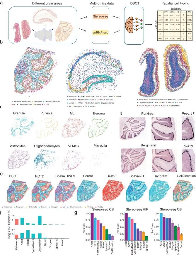 https://cdn.ncbi.nlm.nih.gov/pmc/blobs/c657/12045154/f88c131189a9/nwaf030fig3.jpg