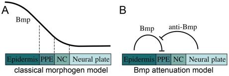 https://cdn.ncbi.nlm.nih.gov/pmc/blobs/c659/2944784/3794149a8a74/pgen.1001133.g001.jpg