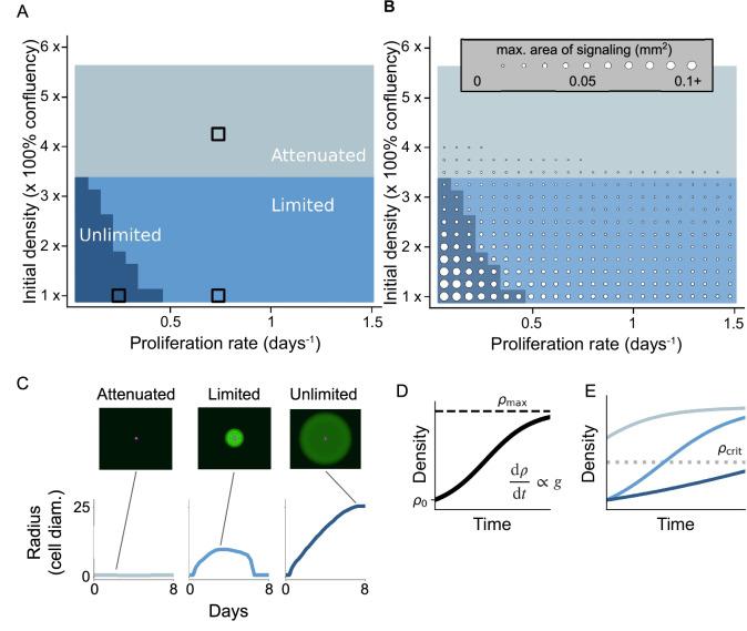 https://cdn.ncbi.nlm.nih.gov/pmc/blobs/c65a/11577002/0177f86669bd/41467_2024_53078_Fig5_HTML.jpg