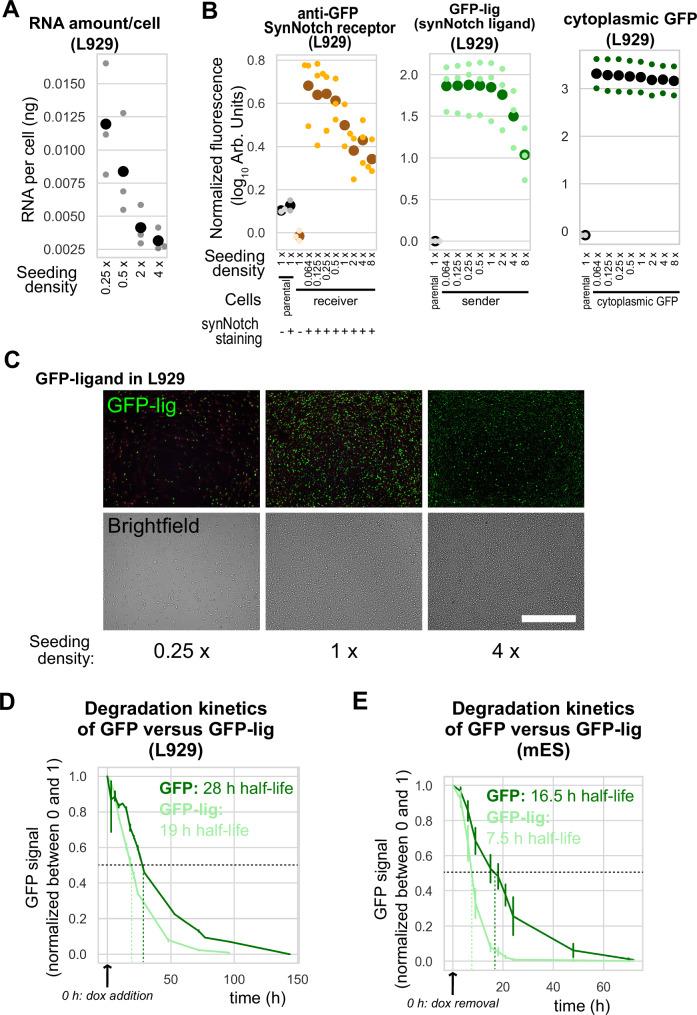 https://cdn.ncbi.nlm.nih.gov/pmc/blobs/c65a/11577002/122c055981d6/41467_2024_53078_Fig2_HTML.jpg