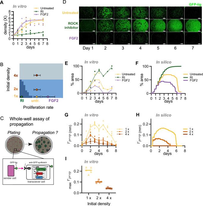 https://cdn.ncbi.nlm.nih.gov/pmc/blobs/c65a/11577002/da8d566f85e4/41467_2024_53078_Fig6_HTML.jpg