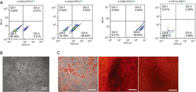 https://cdn.ncbi.nlm.nih.gov/pmc/blobs/c65b/7658129/f34037bac37b/tau-09-05-2071-f1.jpg