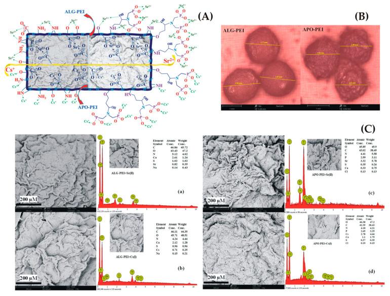 https://cdn.ncbi.nlm.nih.gov/pmc/blobs/c65c/10378757/6105a3e54241/gels-09-00556-g004.jpg