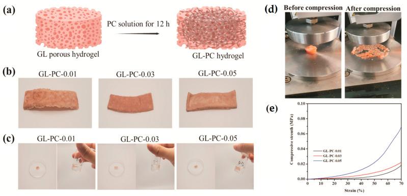 https://cdn.ncbi.nlm.nih.gov/pmc/blobs/c65c/10378757/7fa81fd367d4/gels-09-00556-g003.jpg