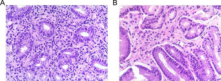 https://cdn.ncbi.nlm.nih.gov/pmc/blobs/c65c/12403714/3edcaa076e4e/spectrum.00312-25.f002.jpg