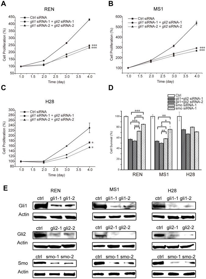 https://cdn.ncbi.nlm.nih.gov/pmc/blobs/c65d/3590216/ddcf27665d33/pone.0057346.g004.jpg