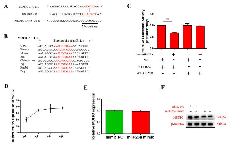 https://cdn.ncbi.nlm.nih.gov/pmc/blobs/c65d/7588927/db9773147f43/genes-11-01232-g004.jpg