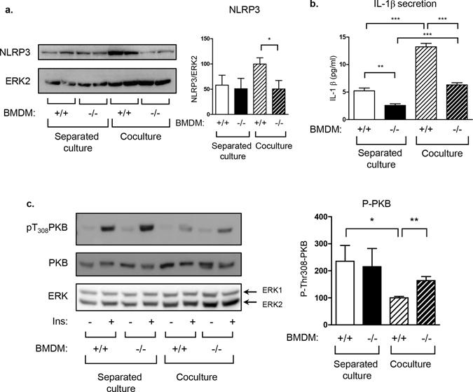 https://cdn.ncbi.nlm.nih.gov/pmc/blobs/c65e/5539207/79950051f309/41598_2017_7182_Fig6_HTML.jpg