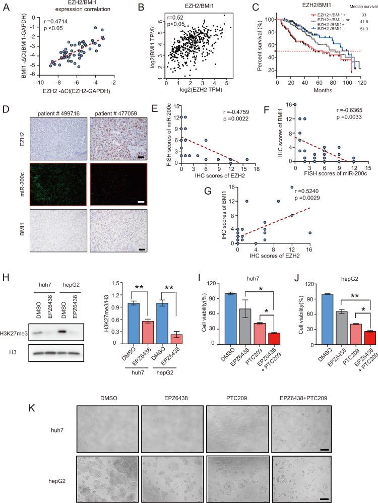 https://cdn.ncbi.nlm.nih.gov/pmc/blobs/c65e/7652937/05457c4f3948/41389_2020_284_Fig6_HTML.jpg