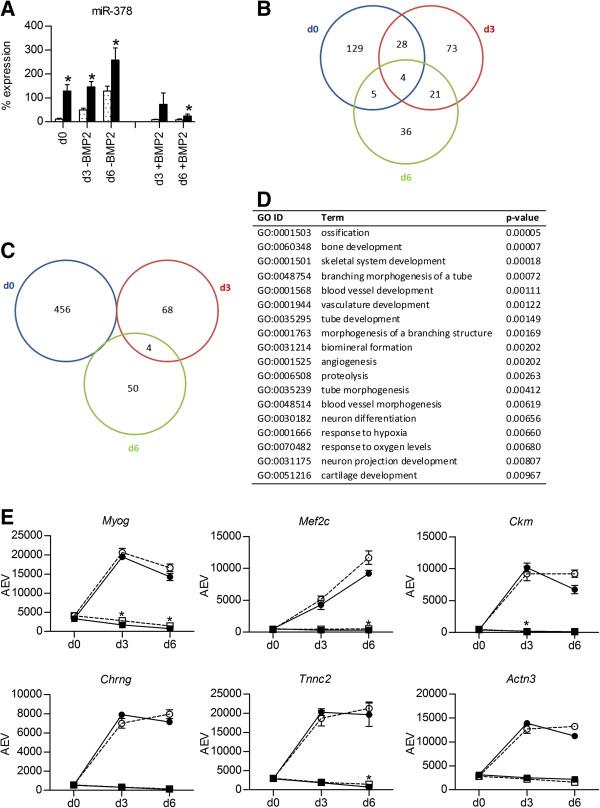 https://cdn.ncbi.nlm.nih.gov/pmc/blobs/c65f/3905160/fd9768b737c2/1471-2199-15-1-2.jpg
