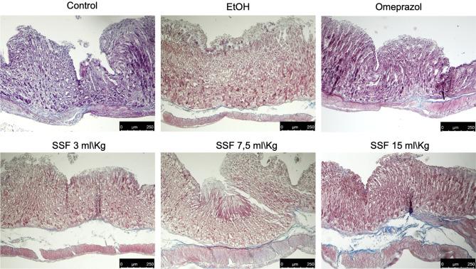 https://cdn.ncbi.nlm.nih.gov/pmc/blobs/c662/7878904/16c15c7868be/41598_2021_83170_Fig5_HTML.jpg