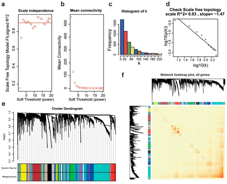 https://cdn.ncbi.nlm.nih.gov/pmc/blobs/c666/11855757/6495299a4d3a/ijms-26-01408-g002.jpg