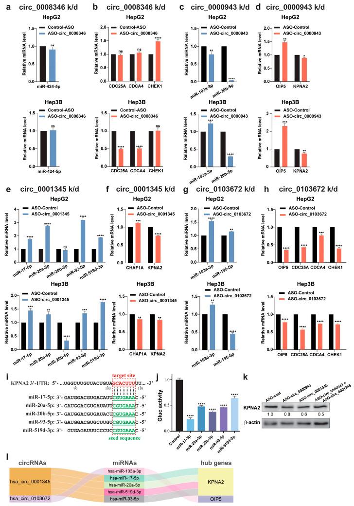 https://cdn.ncbi.nlm.nih.gov/pmc/blobs/c666/11855757/79ec9a33b87c/ijms-26-01408-g009.jpg
