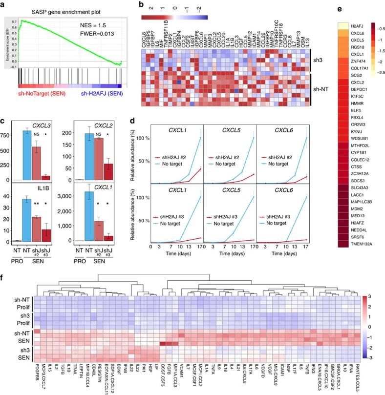 https://cdn.ncbi.nlm.nih.gov/pmc/blobs/c666/5436145/359367e33920/ncomms14995-f5.jpg