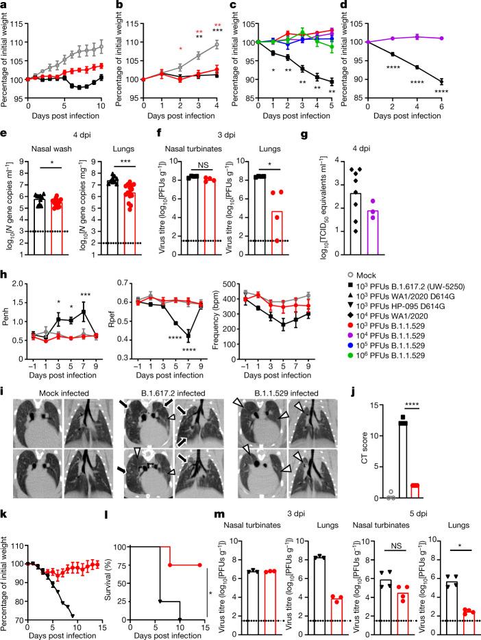 https://cdn.ncbi.nlm.nih.gov/pmc/blobs/c667/8942849/50859e5526ba/41586_2022_4441_Fig2_HTML.jpg