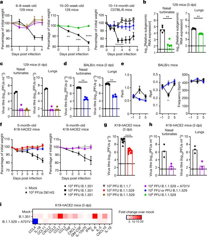 https://cdn.ncbi.nlm.nih.gov/pmc/blobs/c667/8942849/9b70552d2422/41586_2022_4441_Fig1_HTML.jpg