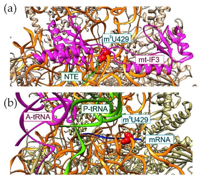 https://cdn.ncbi.nlm.nih.gov/pmc/blobs/c669/7600485/a383f08b2df6/cells-09-02181-g003.jpg
