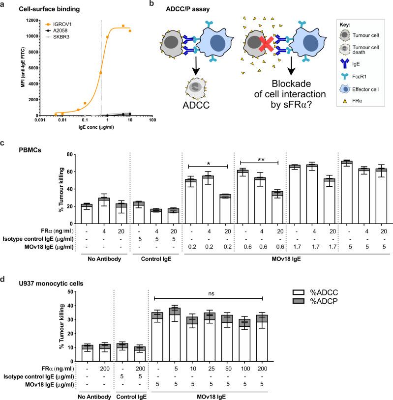 https://cdn.ncbi.nlm.nih.gov/pmc/blobs/c669/9902484/8d514968aaf1/41416_2022_2031_Fig6_HTML.jpg