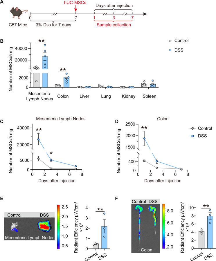 https://cdn.ncbi.nlm.nih.gov/pmc/blobs/c66a/11218300/292e1a49d567/13287_2024_3809_Fig2_HTML.jpg