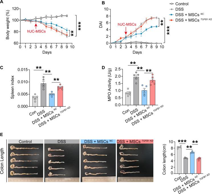 https://cdn.ncbi.nlm.nih.gov/pmc/blobs/c66a/11218300/363df2900b30/13287_2024_3809_Fig6_HTML.jpg