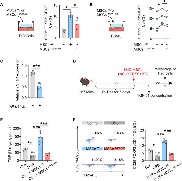 https://cdn.ncbi.nlm.nih.gov/pmc/blobs/c66a/11218300/4d388635c426/13287_2024_3809_Fig5_HTML.jpg