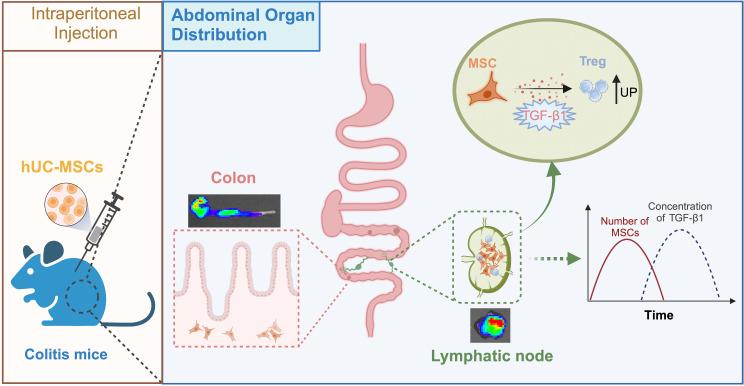 https://cdn.ncbi.nlm.nih.gov/pmc/blobs/c66a/11218300/5831c93eaf7c/13287_2024_3809_Fig7_HTML.jpg