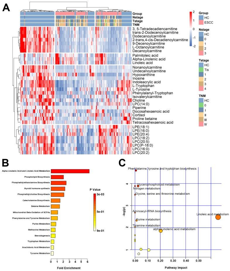https://cdn.ncbi.nlm.nih.gov/pmc/blobs/c66a/7171502/527da04dca5a/jcav11p3944g003.jpg
