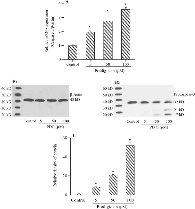 https://cdn.ncbi.nlm.nih.gov/pmc/blobs/c66a/8074807/f397eb8a0503/RPS-16-26-g005.jpg