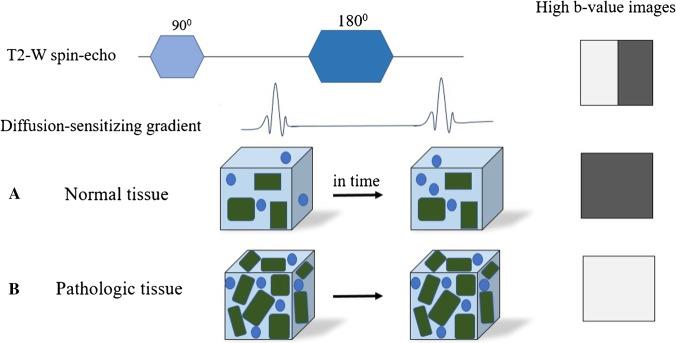 https://cdn.ncbi.nlm.nih.gov/pmc/blobs/c66a/8484843/542863760e1f/234_2021_2819_Fig1_HTML.jpg