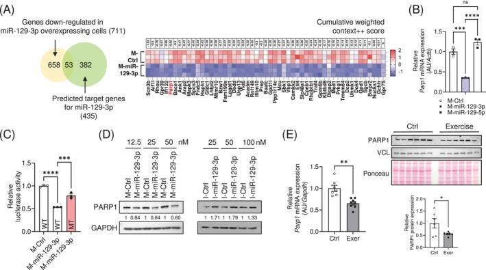 https://cdn.ncbi.nlm.nih.gov/pmc/blobs/c66c/12010049/94f5294f42c5/JCSM-16-e13823-g004.jpg