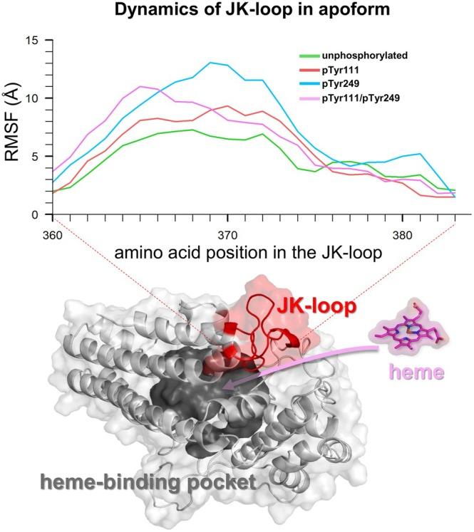 https://cdn.ncbi.nlm.nih.gov/pmc/blobs/c66d/12079389/43ff36b95fc5/PRO-34-e70152-g006.jpg