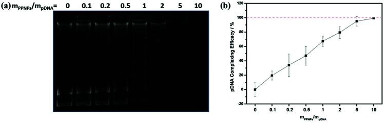https://cdn.ncbi.nlm.nih.gov/pmc/blobs/c66d/9086945/90c1b0897b35/c8ra06916f-f3.jpg