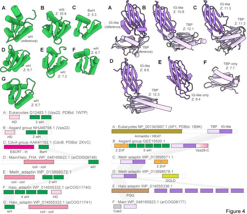 https://cdn.ncbi.nlm.nih.gov/pmc/blobs/c66f/10936438/f76aba138b79/mbio.00335-24.f004.jpg
