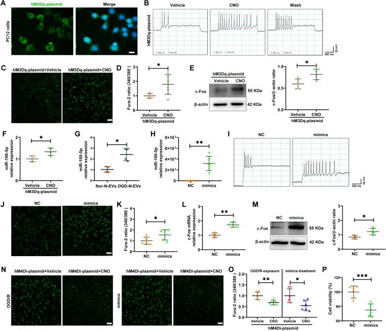 https://cdn.ncbi.nlm.nih.gov/pmc/blobs/c670/11370036/2a2db5e1627a/12951_2024_2782_Fig6_HTML.jpg