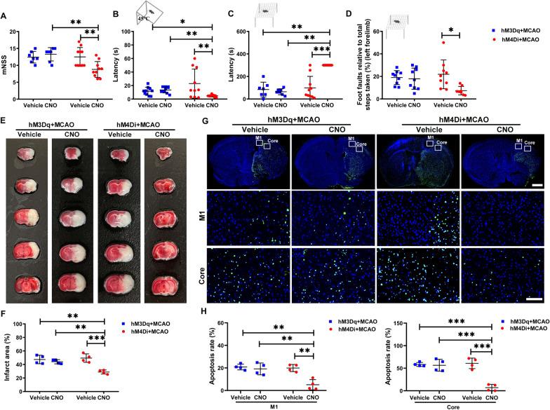 https://cdn.ncbi.nlm.nih.gov/pmc/blobs/c670/11370036/67963d54c7cd/12951_2024_2782_Fig2_HTML.jpg