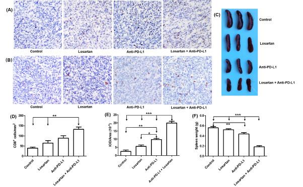 https://cdn.ncbi.nlm.nih.gov/pmc/blobs/c671/10182444/c14f4b6dc950/bi-13-89-g003.jpg
