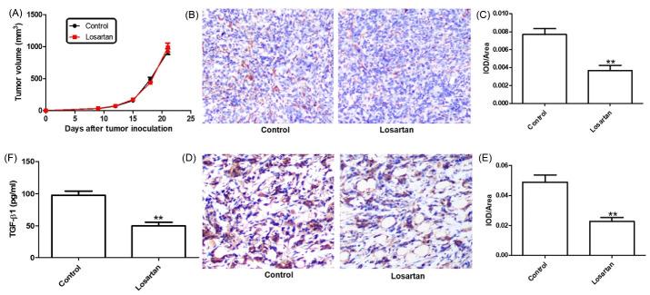 https://cdn.ncbi.nlm.nih.gov/pmc/blobs/c671/10182444/fa6741154a6b/bi-13-89-g001.jpg