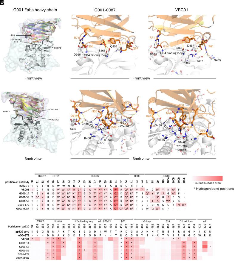 https://cdn.ncbi.nlm.nih.gov/pmc/blobs/c671/12377726/38e288116acc/pnas.2510163122fig02.jpg