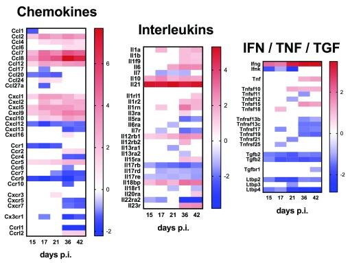 https://cdn.ncbi.nlm.nih.gov/pmc/blobs/c672/6316861/4322d820b311/wellcomeopenres-3-16356-g0003.jpg