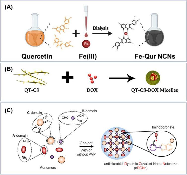 https://cdn.ncbi.nlm.nih.gov/pmc/blobs/c675/12239925/913a86688e7a/IJN-20-8729-g0003.jpg
