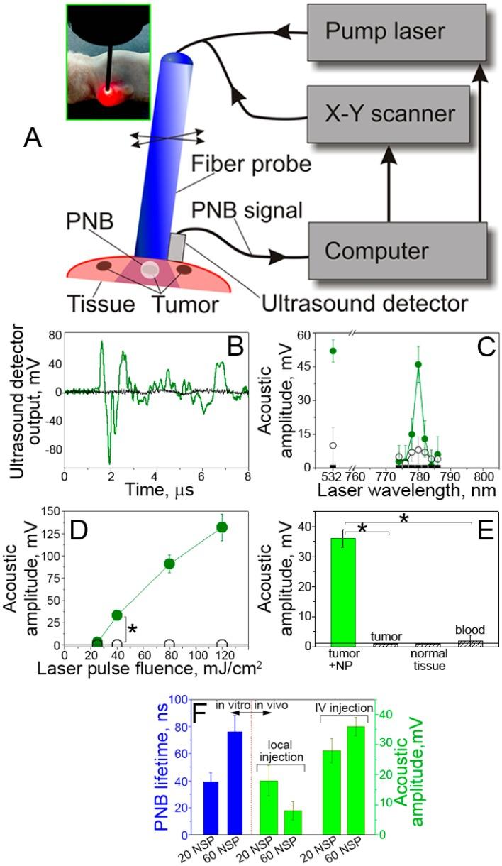 https://cdn.ncbi.nlm.nih.gov/pmc/blobs/c675/3493199/0c7cd883df0f/thnov02p0976g04.jpg