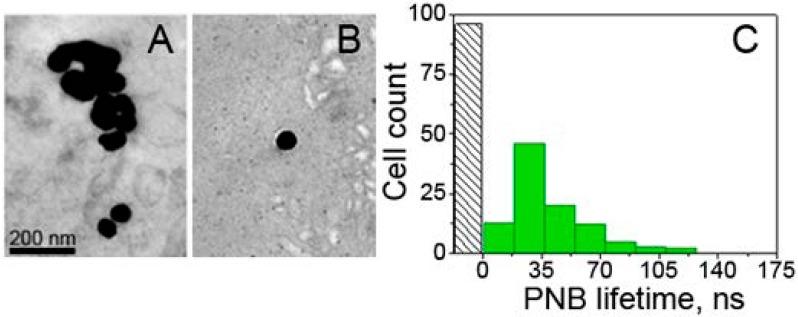 https://cdn.ncbi.nlm.nih.gov/pmc/blobs/c675/3493199/5895c49df060/thnov02p0976g03.jpg