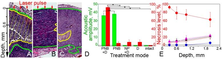https://cdn.ncbi.nlm.nih.gov/pmc/blobs/c675/3493199/948a7aac3d4a/thnov02p0976g05.jpg