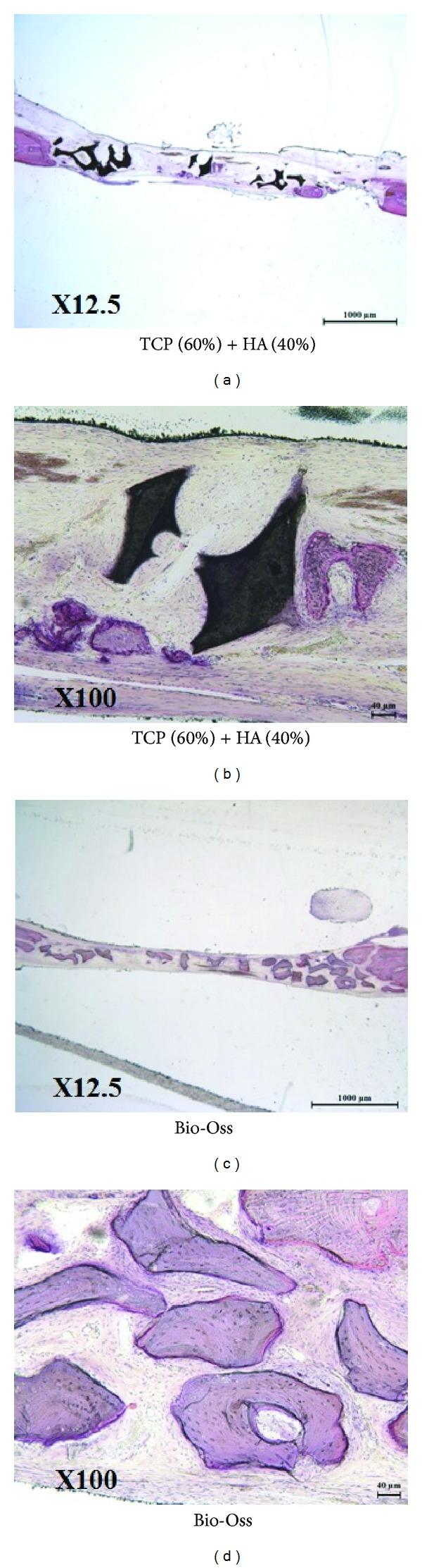 https://cdn.ncbi.nlm.nih.gov/pmc/blobs/c675/3878745/a5fd72075ffb/TSWJ2013-481789.007.jpg