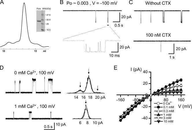 https://cdn.ncbi.nlm.nih.gov/pmc/blobs/c676/2154359/6e5c95e201c2/jgp1290109f03.jpg