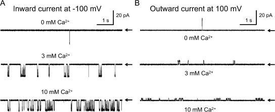 https://cdn.ncbi.nlm.nih.gov/pmc/blobs/c676/2154359/8614076babda/jgp1290109f01.jpg